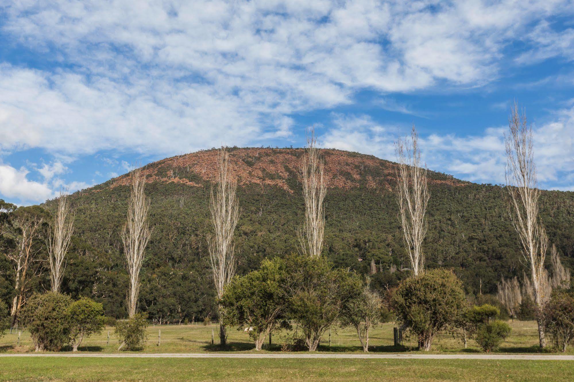 Hotel Oscar'S On The Yarra Warburton Esterno foto