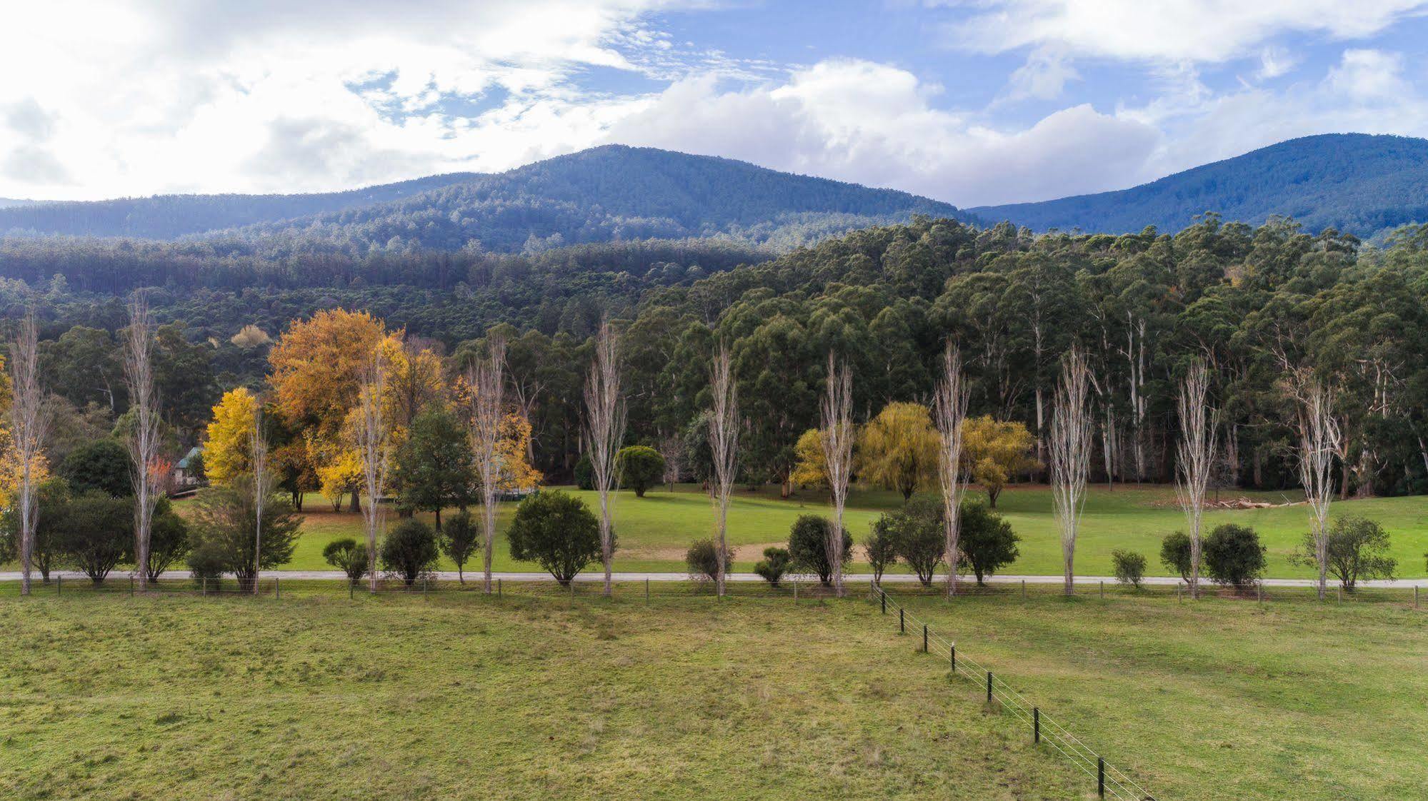 Hotel Oscar'S On The Yarra Warburton Esterno foto