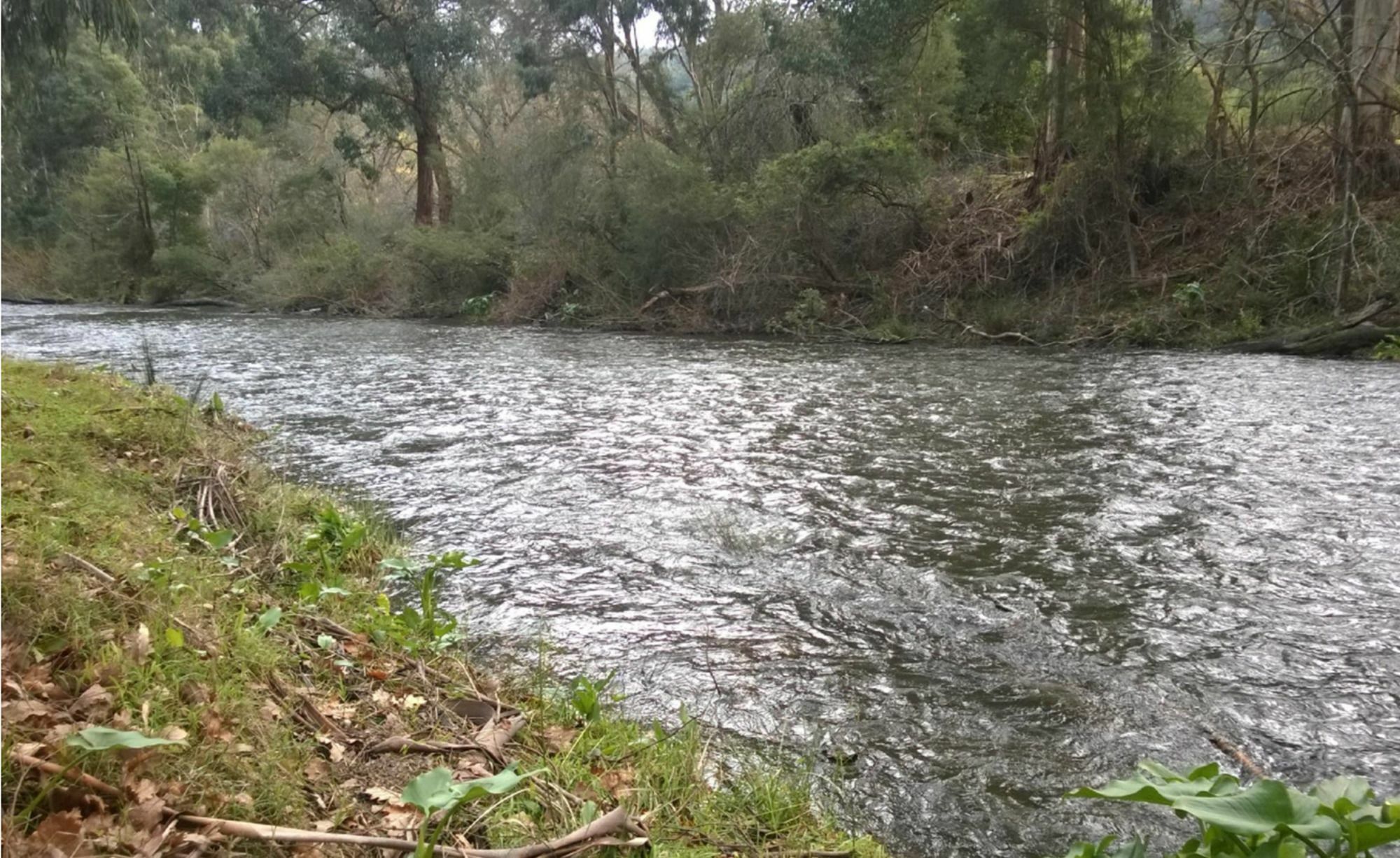 Hotel Oscar'S On The Yarra Warburton Esterno foto